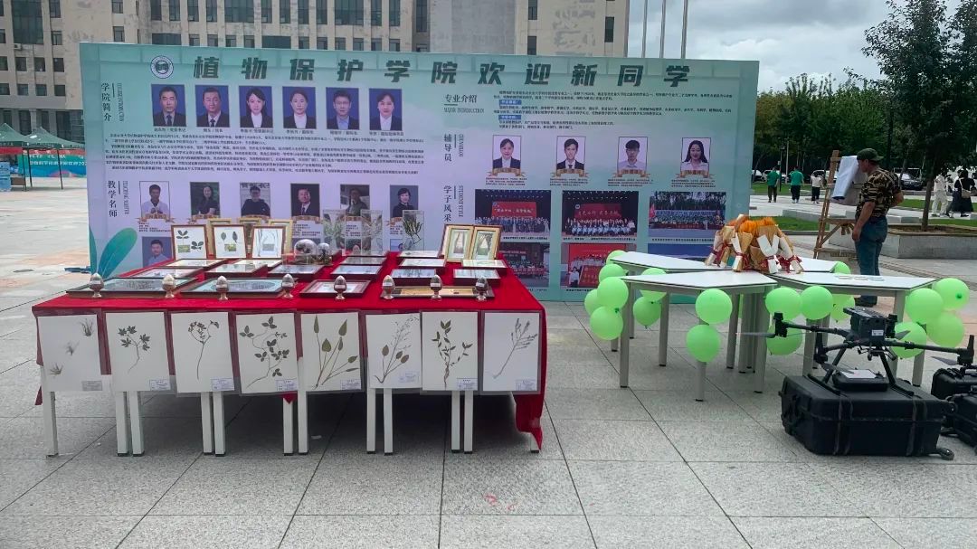 b6cccf2e5e45cd5be3177de768f9d7ee