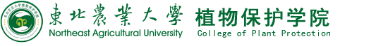 u8国际平台